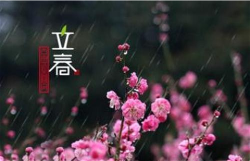 “立春“一過，就意味著冬天已經結束啦
